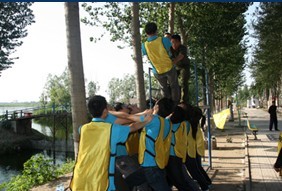 1471944275636203.jpg 2.jpg