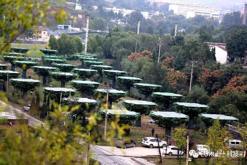 1513651040750615.jpg 26.jpg