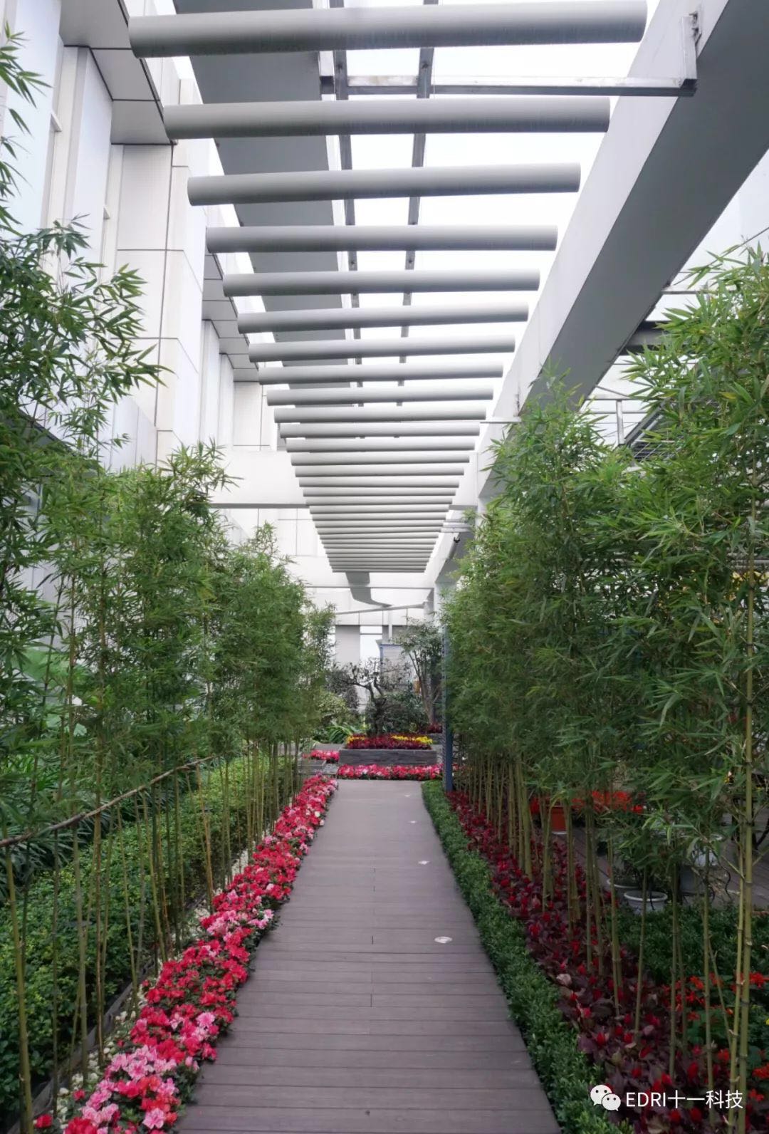 1538272402775288.jpg 6.jpg