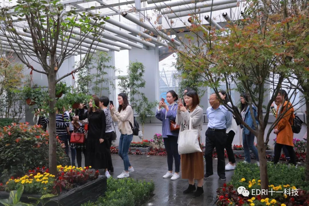 1540172374105698.jpg 9.jpg